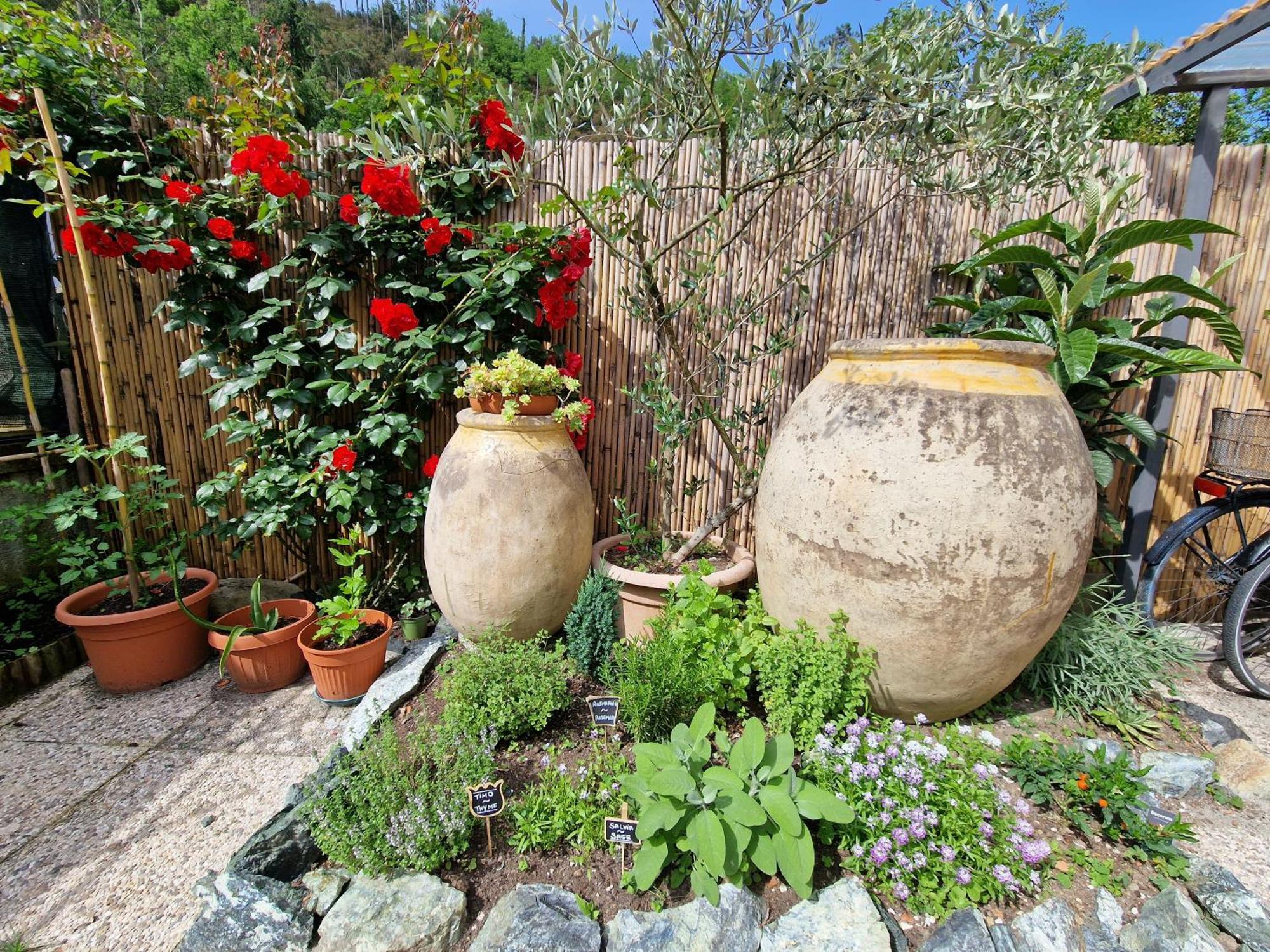 Le Giare B&B Levanto Bagian luar foto
